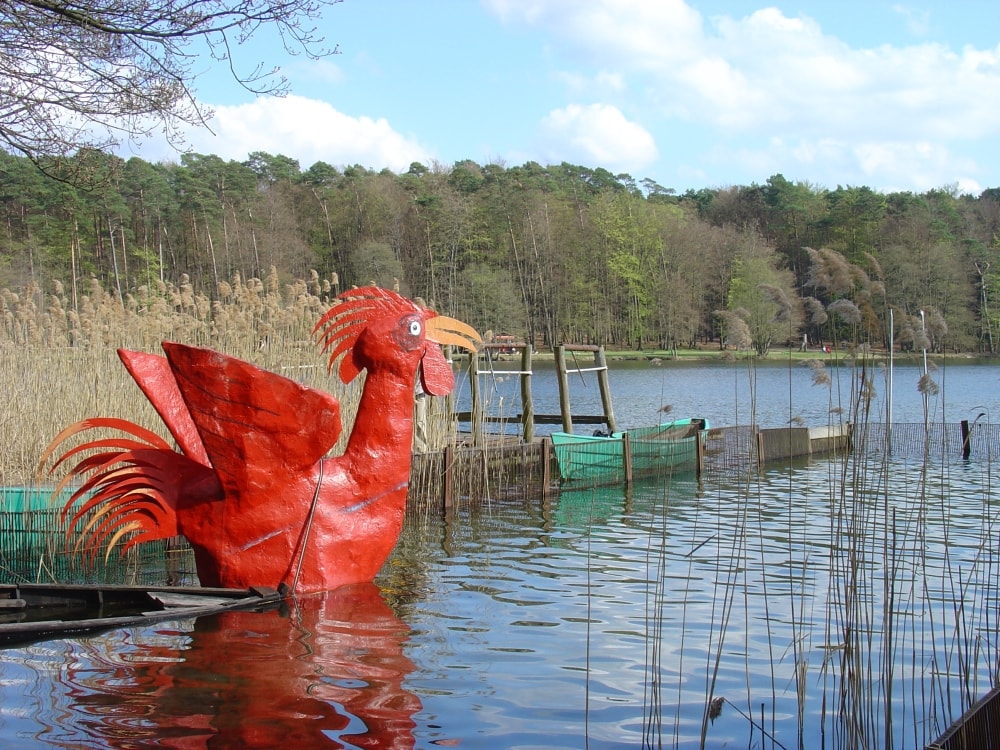 stechlinsee roter hahn